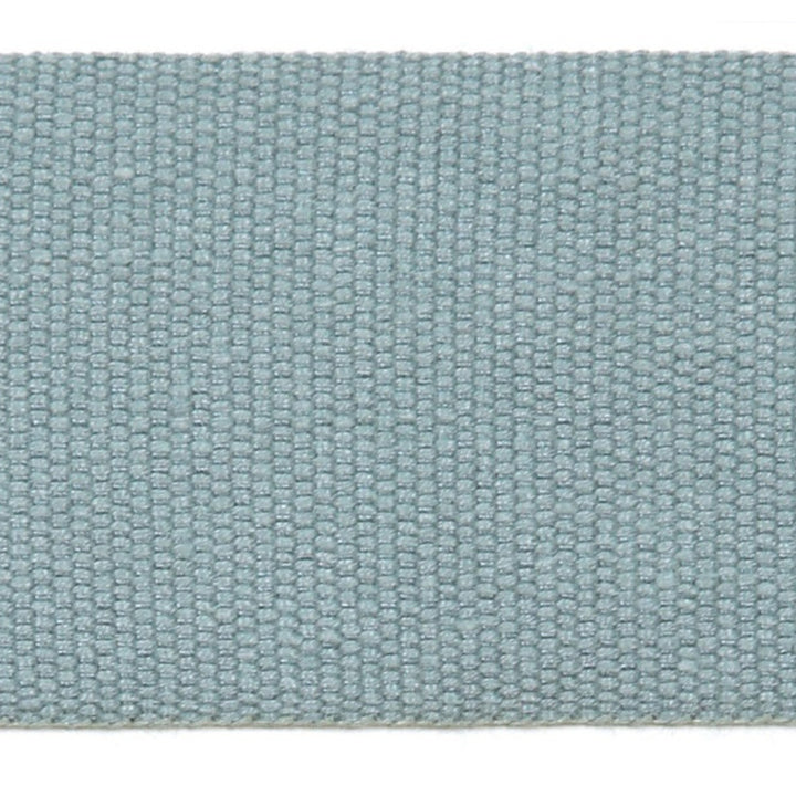 Le Lin 2 Tape Dark Green by Europatex Fabric Le Lin 63% Linen, 37% Rayon 2.00 inches - Fabric Carolina -