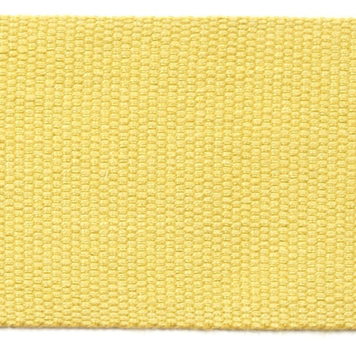 Le Lin 2 Tape Gold by Europatex Fabric Le Lin 63% Linen, 37% Rayon 2.00 inches - Fabric Carolina -