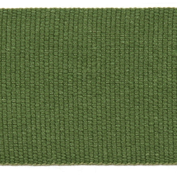 Le Lin 2 Tape Grasshopper by Europatex Designer Fabric Le Lin 63% Linen, 37% Rayon 2.00 inches - Swanky Fabrics -