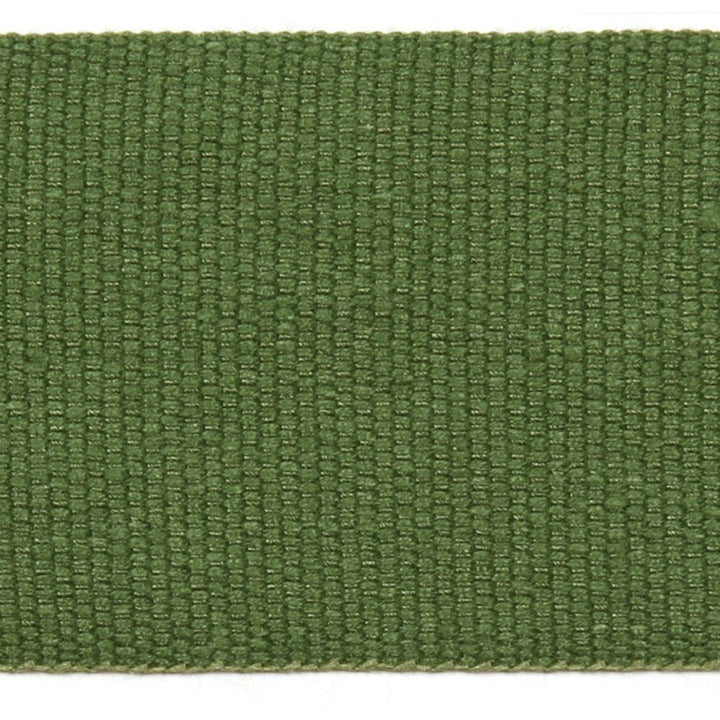 Le Lin 2 Tape Grasshopper by Europatex Fabric Le Lin 63% Linen, 37% Rayon 2.00 inches - Fabric Carolina -