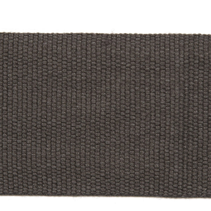 Le Lin 2 Tape Steel by Europatex Fabric Le Lin 63% Linen, 37% Rayon 2.00 inches - Fabric Carolina -