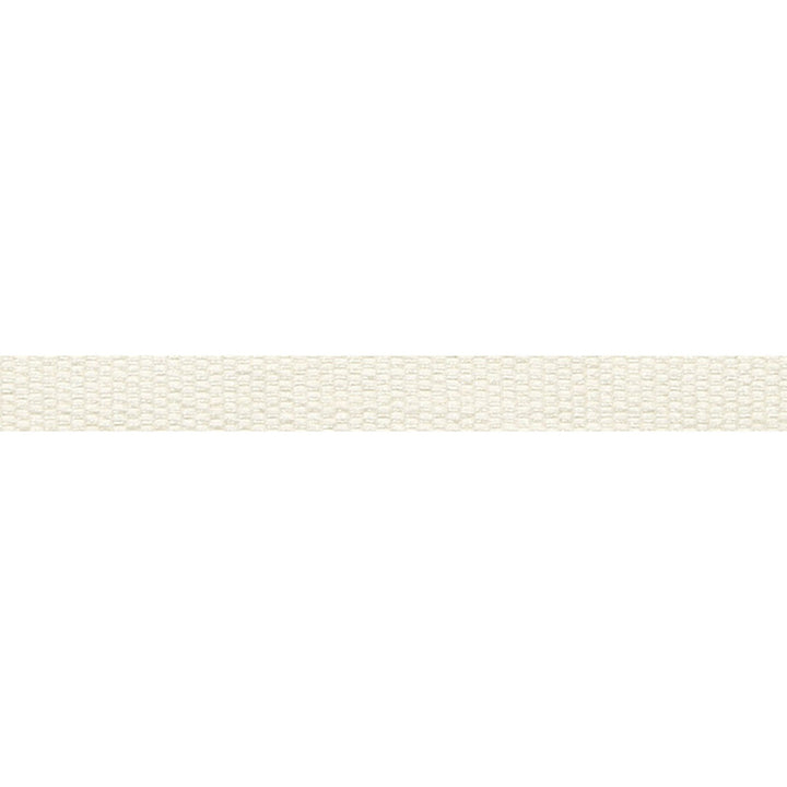 Le Lin Micro Tape Cotton by Europatex Fabric Le Lin 63% Linen, 37% Rayon 0.56 inches - Fabric Carolina -