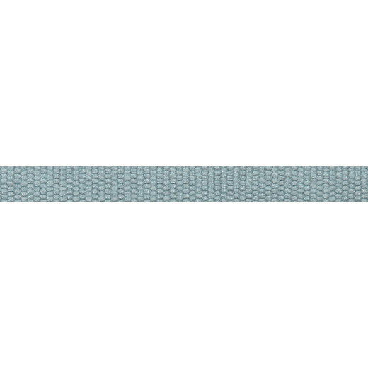 Le Lin 9/16" Tape Dark Green by Europatex Fabric Le Lin Collection 63% Linen / 37% Rayon China See Sample Horizontal: N/A and Vertical: N/A 0.56 inches  - Fabric Carolina -