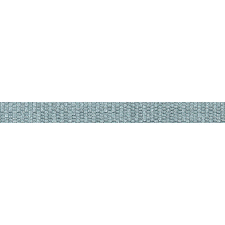 Le Lin Micro Tape Dark Green by Europatex Fabric Le Lin 63% Linen, 37% Rayon 0.56 inches - Fabric Carolina -