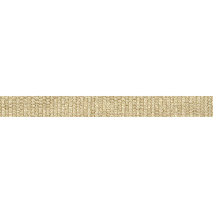 Le Lin Micro Tape Linen by Europatex Fabric Le Lin 63% Linen, 37% Rayon 0.56 inches - Fabric Carolina -