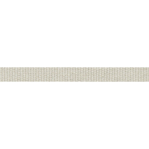 Le Lin 9/16" Tape Pebble by Europatex Fabric Le Lin Collection 63% Linen / 37% Rayon China See Sample Horizontal: N/A and Vertical: N/A 0.56 inches  - Fabric Carolina -