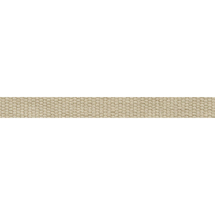 Le Lin Micro Tape Quartz by Europatex Designer Fabric Le Lin 63% Linen, 37% Rayon 0.56 inches - Swanky Fabrics -