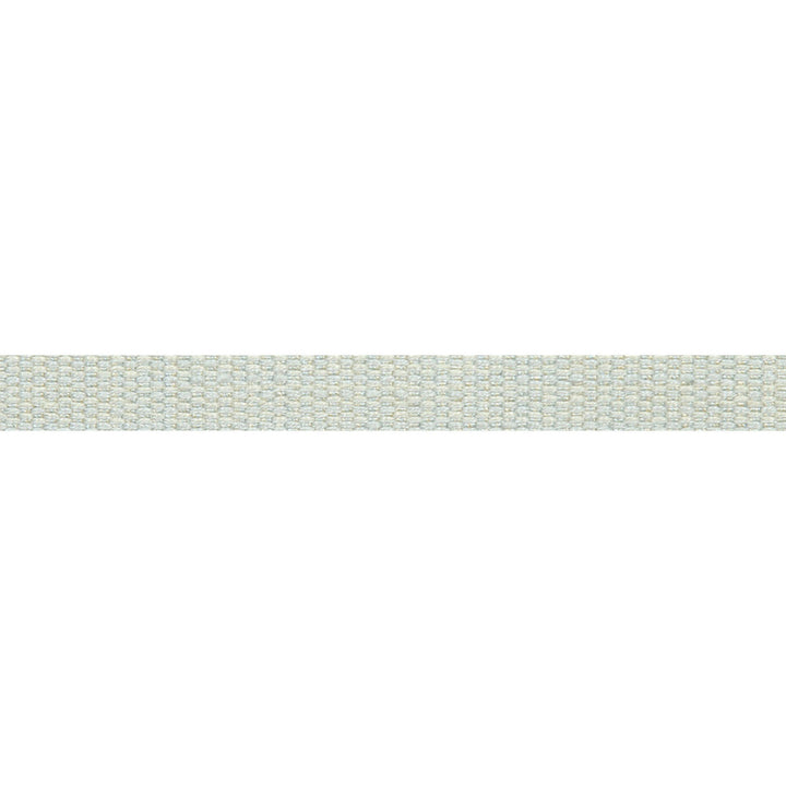 Le Lin Micro Tape Spa by Europatex Fabric Le Lin 63% Linen, 37% Rayon 0.56 inches - Fabric Carolina -
