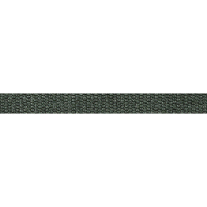 Le Lin Micro Tape Spruce by Europatex Fabric Le Lin 63% Linen, 37% Rayon 0.56 inches - Fabric Carolina -