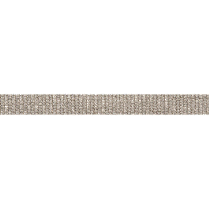 Le Lin Micro Tape Stone by Europatex Fabric Le Lin 63% Linen, 37% Rayon 0.56 inches - Fabric Carolina -