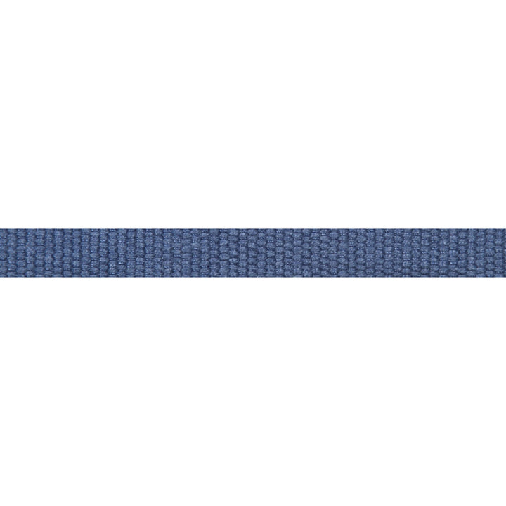 Le Lin Micro Tape Twilight by Europatex Fabric Le Lin 63% Linen, 37% Rayon 0.56 inches - Fabric Carolina -