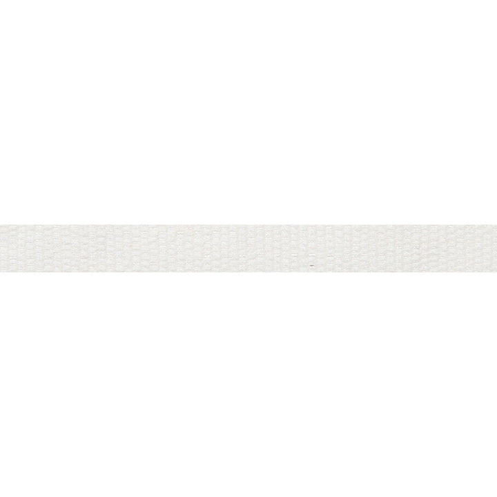 Le Lin Micro Tape White by Europatex Fabric Le Lin 63% Linen, 37% Rayon 0.56 inches - Fabric Carolina -