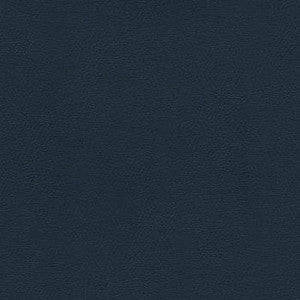 Liberty Academy Blue by Enduratex Fabric
