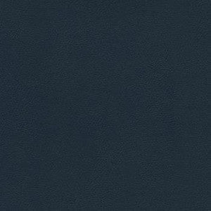 Liberty Academy Blue by Enduratex Fabric