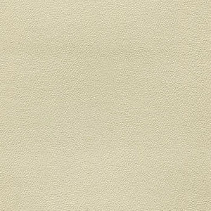 Liberty Adobe by Enduratex Fabric