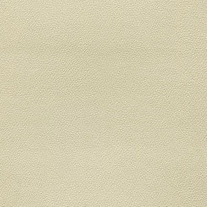 Liberty Adobe by Enduratex Fabric