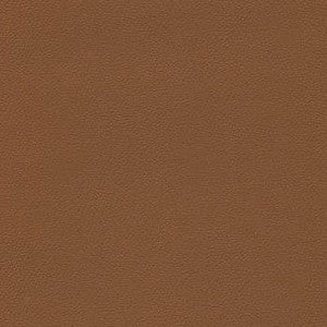 Liberty Brown Sugar by Enduratex Fabric
