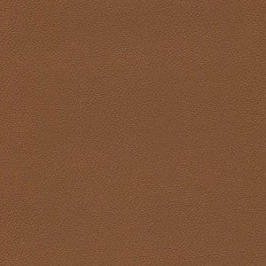 Liberty Brown Sugar by Enduratex Fabric