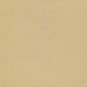 Liberty Camel by Enduratex Fabric