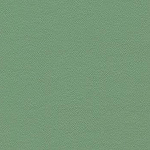 Liberty Celedon Green by Enduratex Fabric