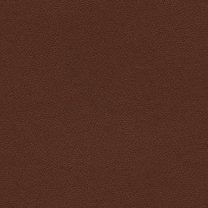 Liberty Chestnut by Enduratex Fabric