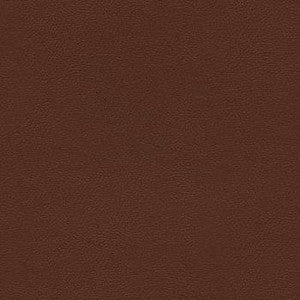 Liberty Chestnut by Enduratex Fabric