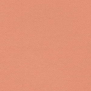 Liberty Clay 1008510 by CGPC Fabric