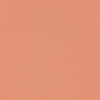Liberty Clay 1008510 by CGPC Fabric See sample 100% Vinyl USA or Imported Water-based cleaning agents and foam may be used for cleaning. Cleaning by a professional cleaning service is recommended. </p><p>Repeat: Horizontal: and Vertical: 54" - Fabric Carolina -