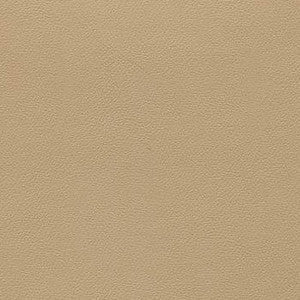 Liberty Coffee Cream by Enduratex Fabric
