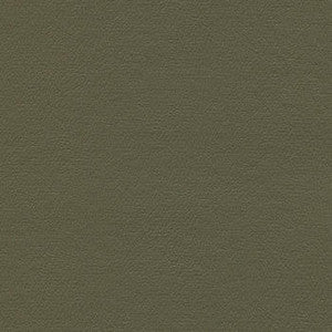 Liberty Eucalyptus by Enduratex Fabric