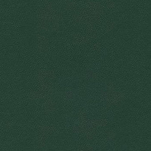 Liberty Forest Green by Enduratex Fabric