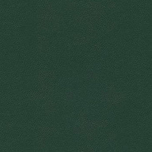 Liberty Forest Green by Enduratex Fabric