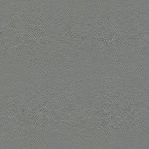 Liberty Franciscan Gray by Enduratex Fabric