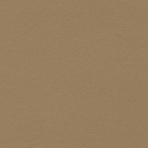 Liberty French Brown by Enduratex Fabric