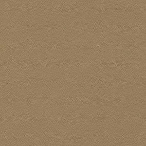 Liberty French Brown by Enduratex Fabric