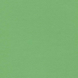 Liberty Greenery 1008480 by CGPC Fabric