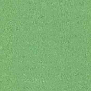 Liberty Greenery 1008480 by CGPC Fabric See sample 100% Vinyl USA or Imported Water-based cleaning agents and foam may be used for cleaning. Cleaning by a professional cleaning service is recommended. </p><p>Repeat: Horizontal: and Vertical: 54" - Fabric Carolina -
