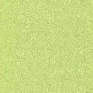 Liberty Light Lime by Enduratex Fabric