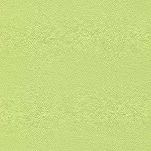 Liberty Light Lime by Enduratex Fabric