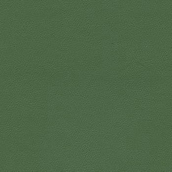 Liberty Loden by Enduratex Fabric See sample 100% Vinyl 100000 Horizontal: Not Applicable and Vertical: Not Applicable 54" - Fabric Carolina -