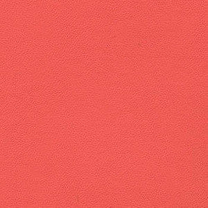 Liberty Petal by Enduratex Fabric