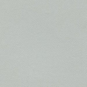 Liberty Platinum by Enduratex Fabric