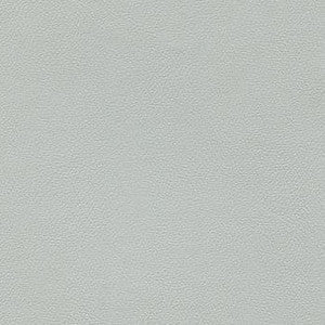 Liberty Platinum by Enduratex Fabric