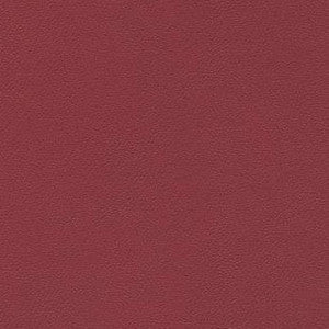 Liberty Raspberry 1008505 by CGPC Fabric