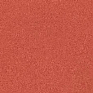 Liberty Rosetan by Enduratex Fabric
