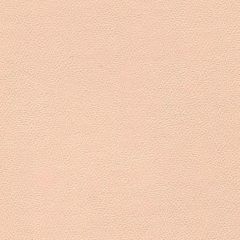 Liberty Shell 1008512 by Burch Designer Fabric our website for purchase 100% Vinyl USA or Asia Water-based cleaning agents and foam may be used for cleaning. Cleaning by a professional cleaning service is recommended. Horizontal: - and Vertical: - 54" - Swanky Fabrics -