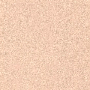Liberty Shell by Enduratex Fabric