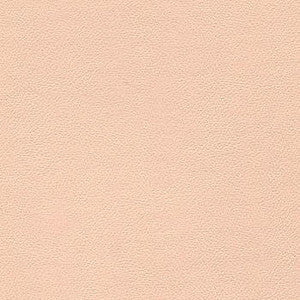 Liberty Shell by Enduratex Fabric