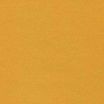 Liberty Sunflower 1008492 by Burch Fabric our website for purchase 100% Vinyl USA or Asia Water-based cleaning agents and foam may be used for cleaning. Cleaning by a professional cleaning service is recommended. Horizontal: - and Vertical: - 54" - Fabric Carolina -