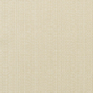 8322 Linen Antique Beige by Sunbrella Fabric